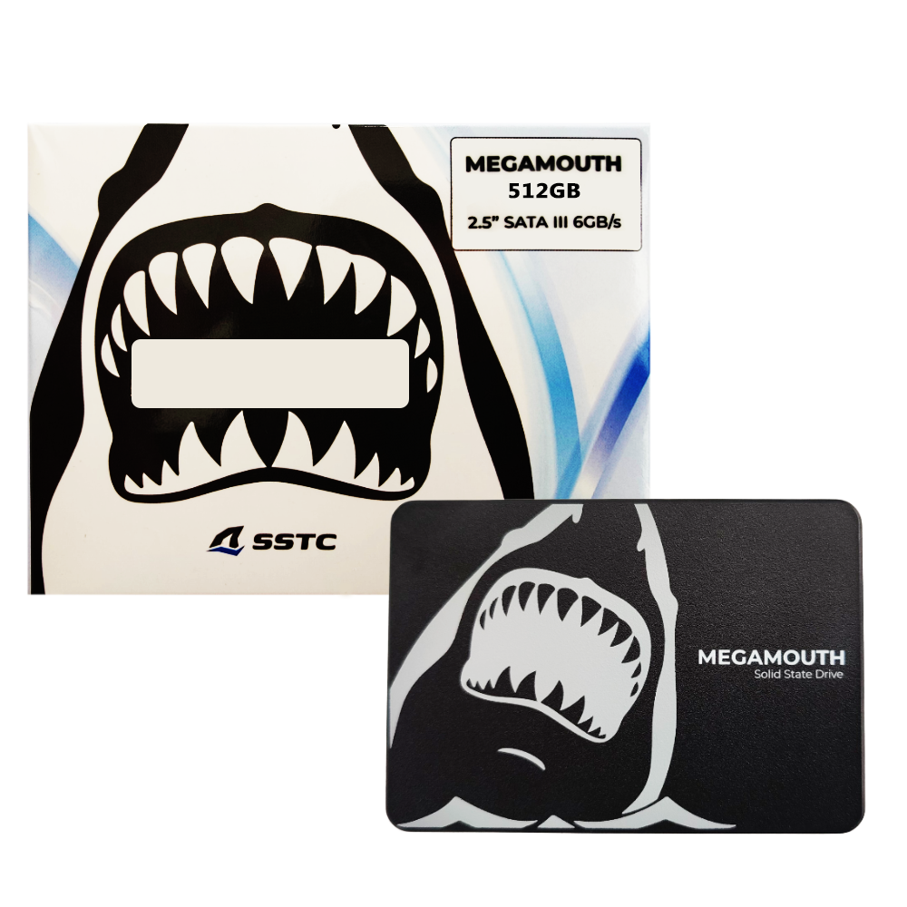 Ổ cứng SSD SSTC Sata M110 2.5 M110 512GB