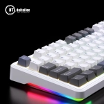Bàn phím cơ gaming Aula F87 có dây (Greywood V3 Switch)
