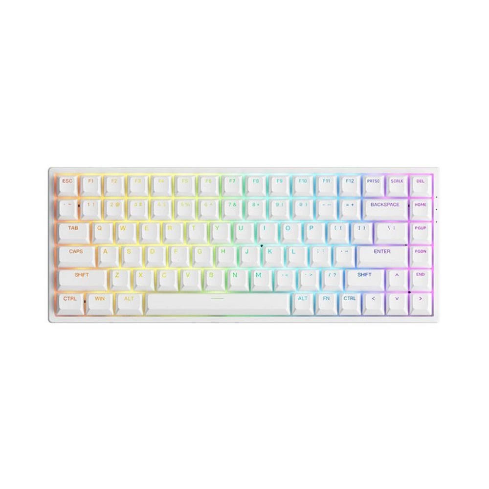 Bàn phím cơ AKKO 3084 v2 RGB - Black / White (Hotswap 5pin/ Có dây)