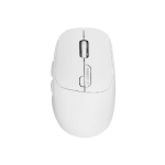 Chuột không dây E-dra EM605W