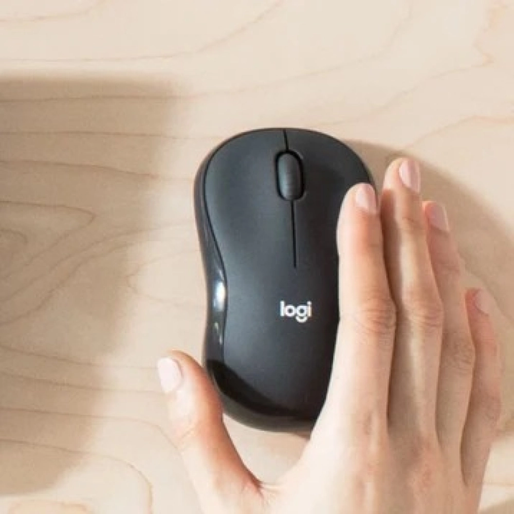 Bộ Phím Chuột Không Dây Logitech MK295 Silent
