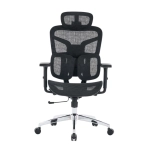 Ghế công thái học E-DRA EEC226 