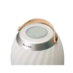 LOA BLUETOOTH ĐÈN TRANG TRÍ SOUNDMAX AL22