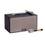 Loa SOUNDMAX M66