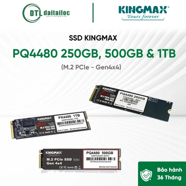 Ổ Cứng SSD Kingmax PQ4480 500GB M2 PCIE Gen 4x4