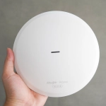 Phát Wifi Ruijie RG-RAP6262(G) Ngoài trời (Không Kèm Nguồn)